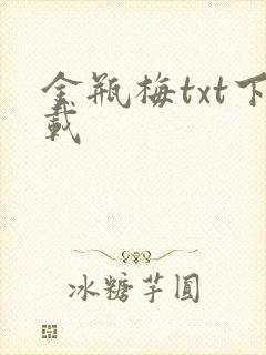 金瓶梅txt下载
