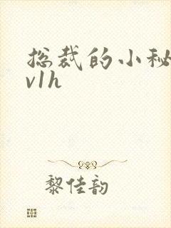 总裁的小秘书1v1h