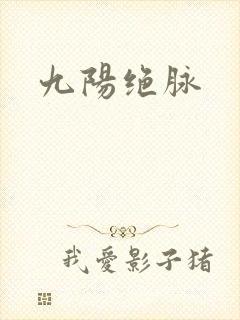 九阳绝脉封面