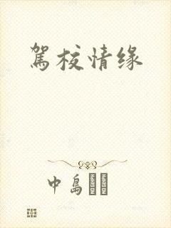 驾校情缘