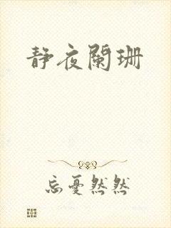 静夜阑珊封面