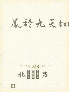 凤于九天txt