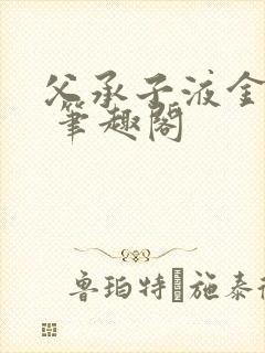父承子液金银花 笔趣阁封面