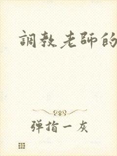 调教老师的小说封面