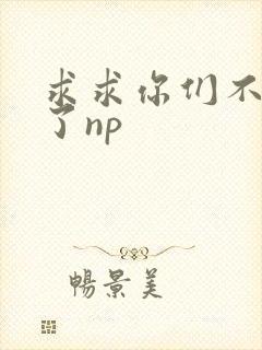 求求你们不要做了np
