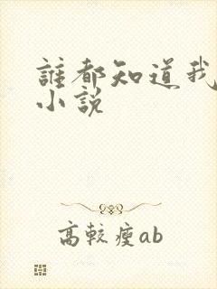 谁都知道我爱你小说