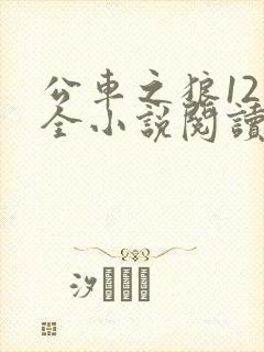 公车之狼12集全小说阅读封面