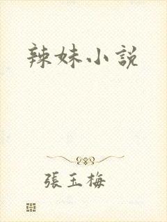 辣妹小说封面