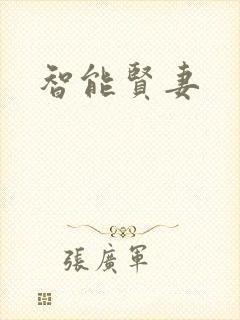 智能贤妻