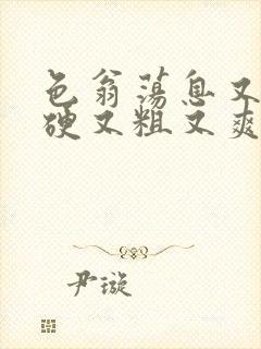 色翁荡息又大又硬又粗又爽
