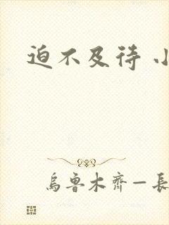 迫不及待 小穴