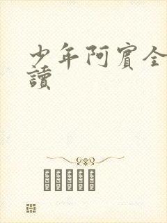 少年阿宾全集阅读封面