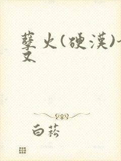 孽火(硬汉)今又封面