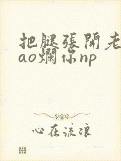 把腿张开老子cao烂你np