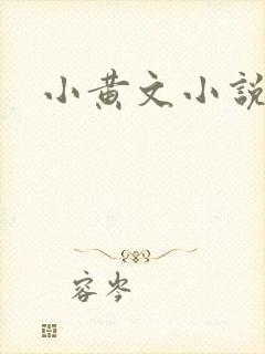 小黄文小说
