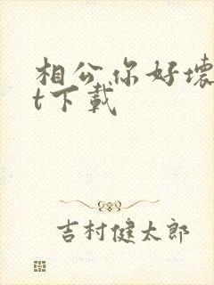 相公你好坏txt下载