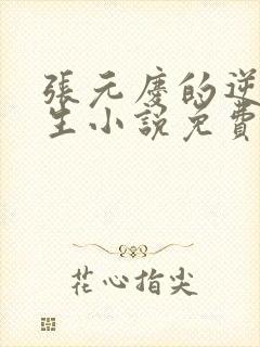 张元庆的逆袭人生小说免费阅读