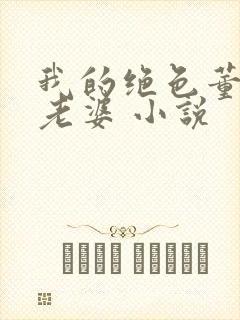 我的绝色董事长老婆 小说封面