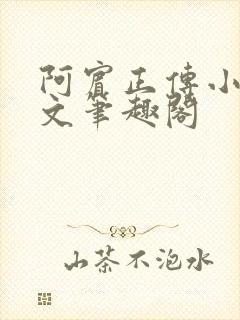 阿宾正传小说全文笔趣阁
