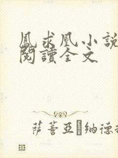 凤求凰小说免费阅读全文
