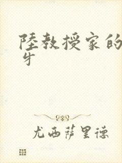陆教授家的小月牙