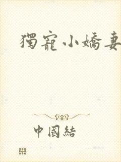 独宠小娇妻