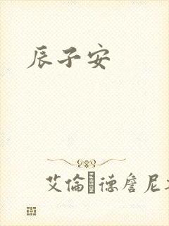 辰子安封面