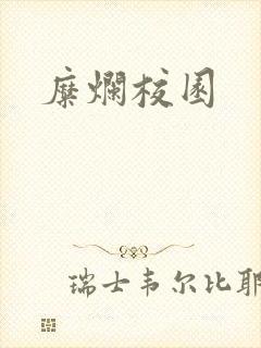 糜烂校园封面