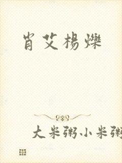 肖艾杨烁