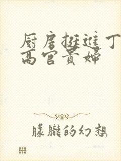 厨房挺进丁字裤高官贵妇