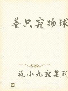 养只宠物球