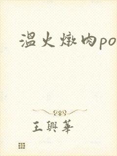 温火炖肉pop