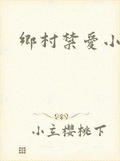 乡村禁爱小说封面