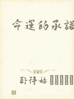 命运的承诺