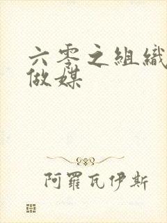 六零之组织给我做媒