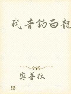 我昔钓白龙封面