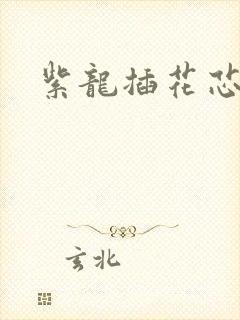 紫龙插花芯方正封面