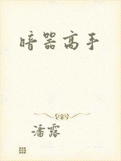暗器高手