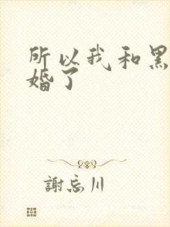所以我和黑粉结婚了封面