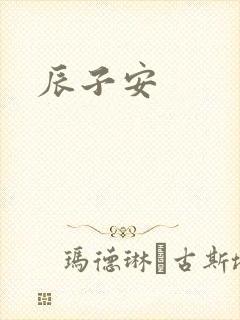 辰子安封面