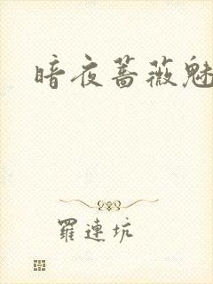 暗夜蔷薇魅