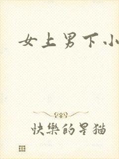 女上男下小说