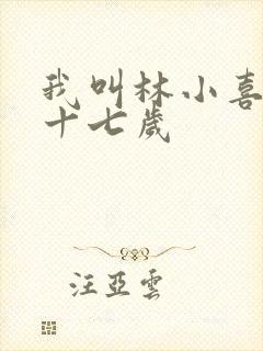 我叫林小喜今年十七岁封面