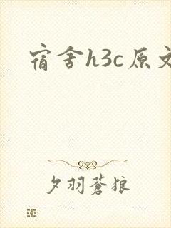 宿舍h3c原文封面
