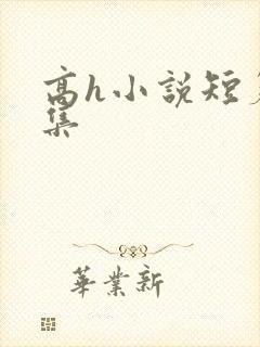 高h小说短篇合集