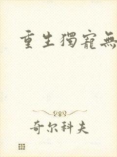 重生独宠无二封面