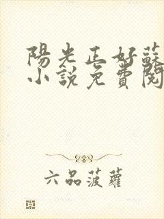 阳光正好苏玥玥小说免费阅读无弹窗