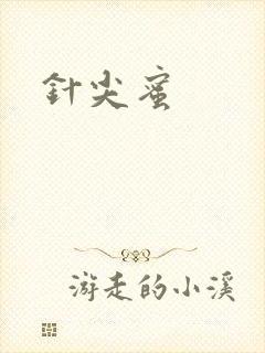 针尖蜜