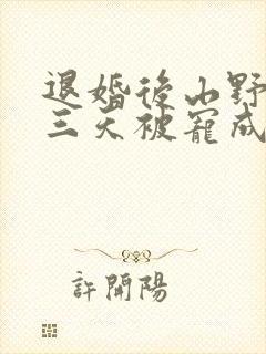 退婚后山野糙汉三天被宠成宝小说