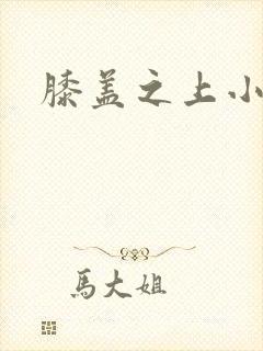 膝盖之上小说